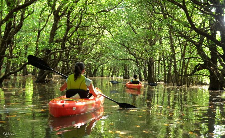 Отдых в Умм-эль-Кайвайне из Узбекистана — уединённом курорте в ОАЭ по доступной цене
